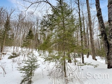 Bring your vision to life with this 1.05 acre parcel located - photo 12