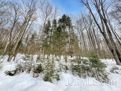 Bring your vision to life with this 1.05 acre parcel located - photo 13