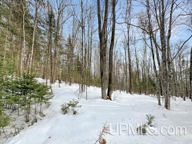 Bring your vision to life with this 1.05 acre parcel located - photo 14