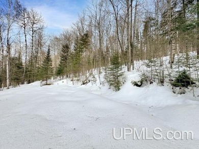 Bring your vision to life with this 1.05 acre parcel located - photo 15