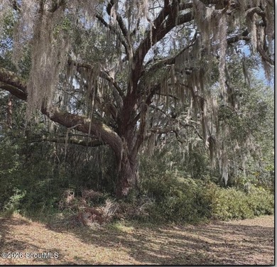 If you've been dreaming of a simpler, rustic lifestyle, this - photo 35