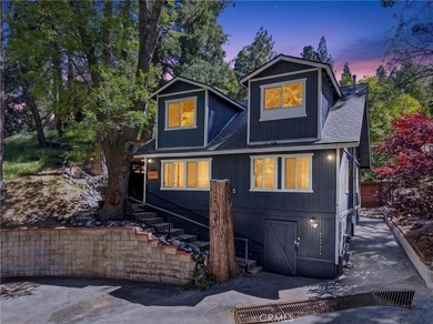 The four bears cabin sits perched on a quiet and unique street - photo 2