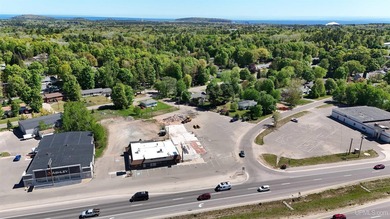 Prime Commercial Opportunity! Over Two Acres of High-Visibility - photo 5