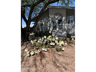 Home is ready to move in!! 2 Bedrooms and 2 baths. Home has a - photo 2