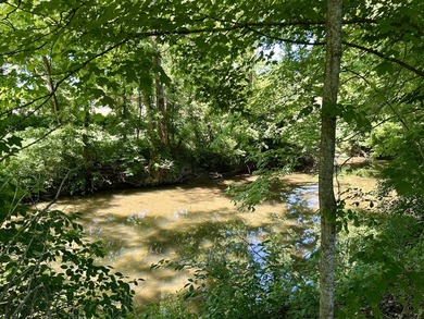 PRICE REDUCTION! Here it is! Huge, cozy home with 18+ acres on - photo 6