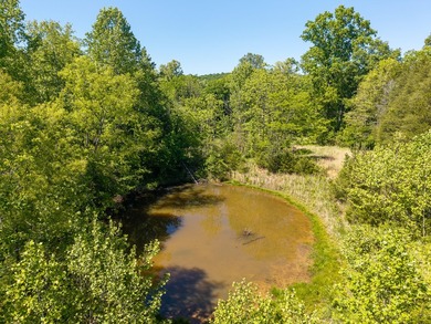 PRICE REDUCTION! Here it is! Huge, cozy home with 18+ acres on - photo 10