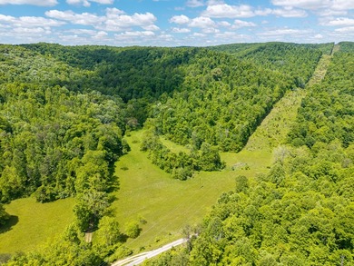 Your dream land awaits-122.38 UNRESTRICTED acres of opportunity - photo 1