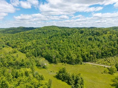 Your dream land awaits-122.38 UNRESTRICTED acres of opportunity - photo 2