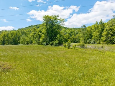 Your dream land awaits-122.38 UNRESTRICTED acres of opportunity - photo 3