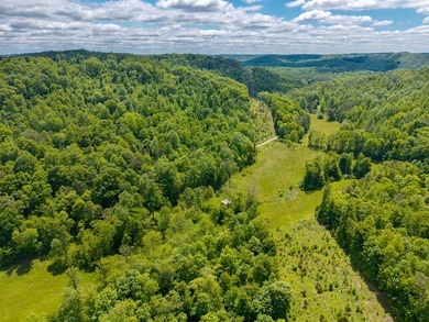 Your dream land awaits-122.38 UNRESTRICTED acres of opportunity - photo 4