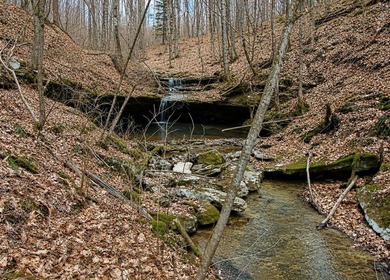Your dream land awaits-122.38 UNRESTRICTED acres of opportunity - photo 5
