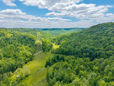 Your dream land awaits-122.38 UNRESTRICTED acres of opportunity - photo 8