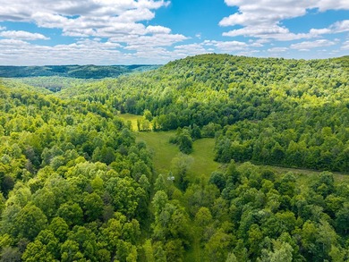 Your dream land awaits-122.38 UNRESTRICTED acres of opportunity - photo 9