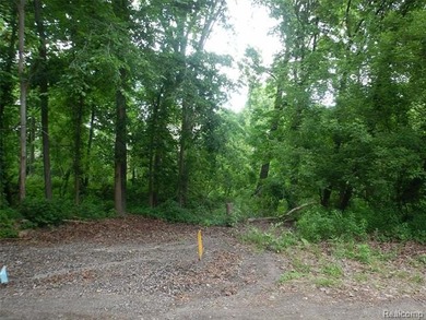 Long Lake - Lake Orion Lot For Sale in Lake Orion Michigan