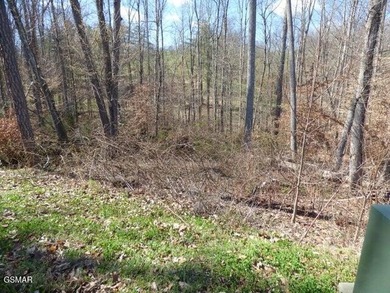 Cherokee Lake Lot For Sale in Morristown Tennessee