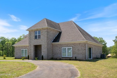 Welcome to 206 Swan Lake Drive in Coldwater, MS (Owner Financing - photo 3