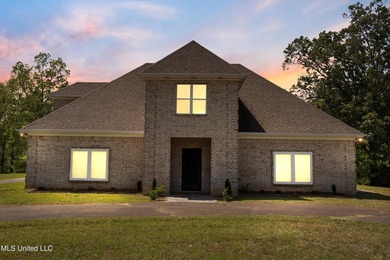 Welcome to 206 Swan Lake Drive in Coldwater, MS (Owner Financing - photo 4
