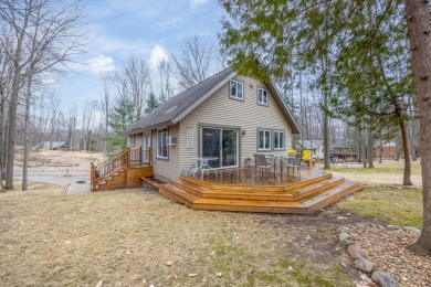Lake Home For Sale in Canadian Lakes, Michigan