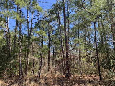 Lake Sam Rayburn  Lot For Sale in Brookeland Texas