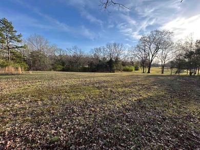 WELCOME TO EAGLES LANDING ESTATES-AN EXCEPTIONAL NEW SUBDIVISION - photo 1