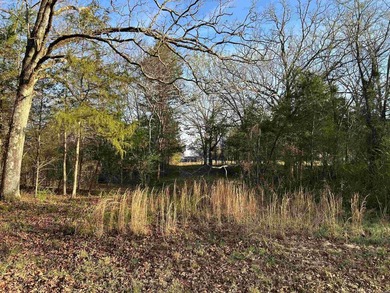 WELCOME TO EAGLES LANDING ESTATES-AN EXCEPTIONAL NEW SUBDIVISION - photo 3