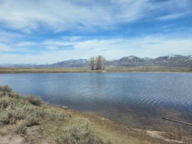 Rare opportunity to own an exceptional legacy ranch with - photo 13