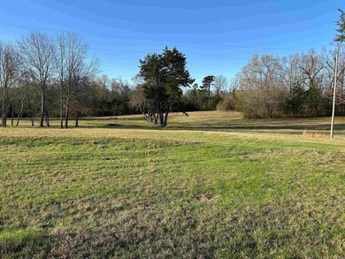 WELCOME TO EAGLES LANDING ESTATES-AN EXCEPTIONAL NEW SUBDIVISION - photo 1