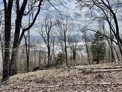 Don't miss this incredible opportunity to own a 2.11-acre - photo 5