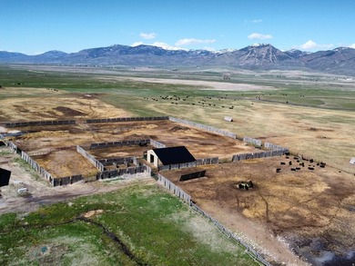 Rare opportunity to own an exceptional legacy ranch with - photo 25