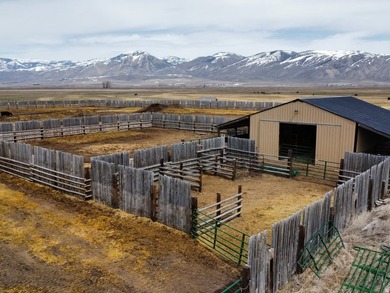 Rare opportunity to own an exceptional legacy ranch with - photo 26