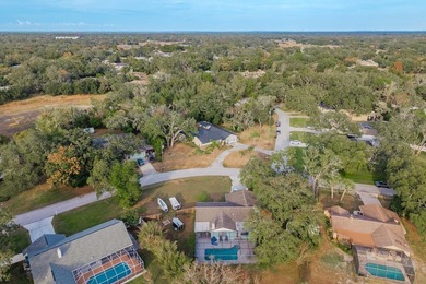 **Freshly Painted Interior / Exterior and Pool Decking!**This - photo 40