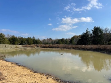 Lake Acreage For Sale in Antlers, Oklahoma