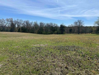 WELCOME TO EAGLES LANDING ESTATES-AN EXCEPTIONAL NEW SUBDIVISION - photo 1