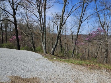 Lake Acreage For Sale in Burnside, Kentucky