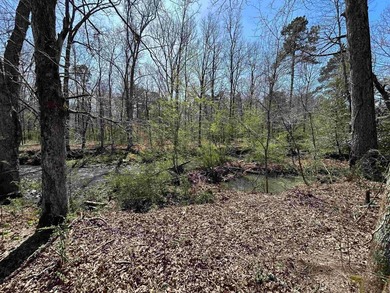 WELCOME TO EAGLES LANDING ESTATES-AN EXCEPTIONAL NEW SUBDIVISION - photo 6