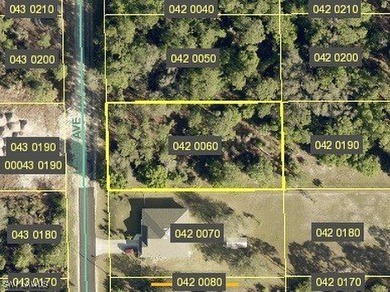 Lehigh Acres Area Lot For Sale in Lehigh Acres Florida