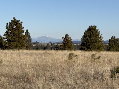 (private lake, pond, coastal) Acreage For Sale in Nine Mile Falls Washington