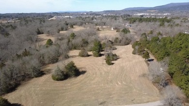 WELCOME TO EAGLES LANDING ESTATES-AN EXCEPTIONAL NEW SUBDIVISION - photo 5
