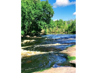 This amazing 1-of-a kind, 39+ acre property located 1hr-10min NE - photo 3