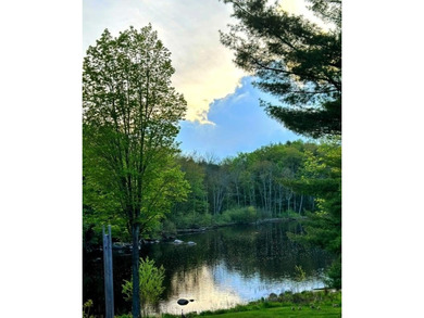 This amazing 1-of-a kind, 39+ acre property located 1hr-10min NE - photo 4
