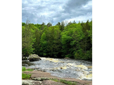 This amazing 1-of-a kind, 39+ acre property located 1hr-10min NE - photo 7