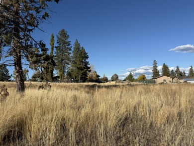 Agency Lake Lot For Sale in Chiloquin Oregon