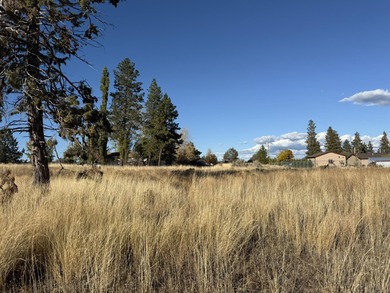 Agency Lake Lot For Sale in Chiloquin Oregon