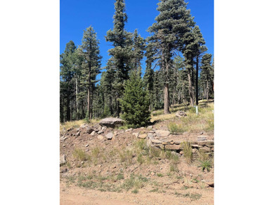 Monte Verde Lake Lot For Sale in Angel Fire New Mexico