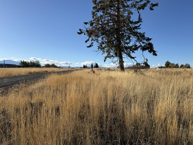 Discover the beauty of Oregon Shores living! This buildable - photo 2