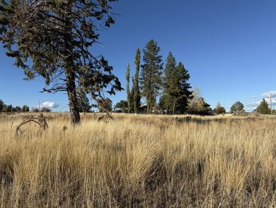 Discover the beauty of Oregon Shores living! This buildable - photo 3