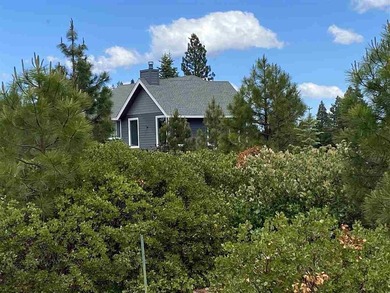 Nice level property in Bailey Creek. Views of Dyer Mountain as - photo 3