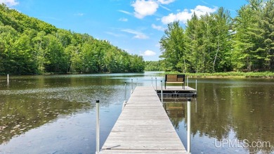 (private lake, pond, creek) Home For Sale in Wetmore Michigan