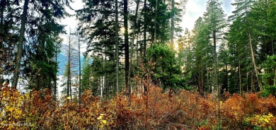 Lake Pend Oreille Lot For Sale in Bayview Idaho