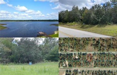 Bonable Lake Lot For Sale in Dunnellon Florida